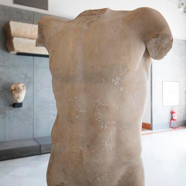 Torso di atleta 